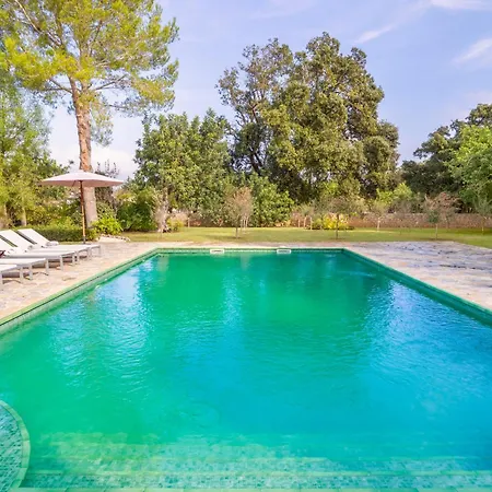 Cal Rei Gran * 포엔샤