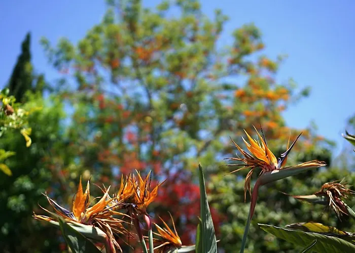 Cal Rei Gran By Balearic * Pollensa